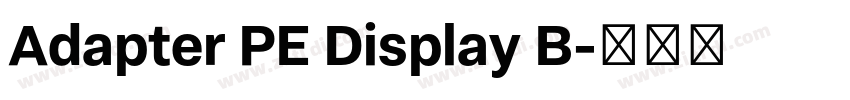 Adapter PE Display B字体转换